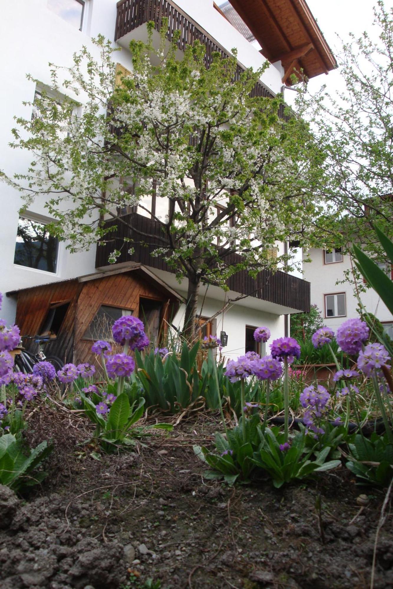 Residence Hofer เบรสซาโนเน ภายนอก รูปภาพ